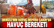 Çevre illerin tüm ihtiyacını karşılayan Çakır’da havuç bereketi