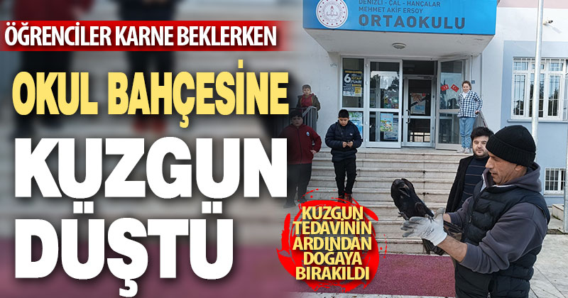 Aç kalan kuzgun okul bahçesine düştü