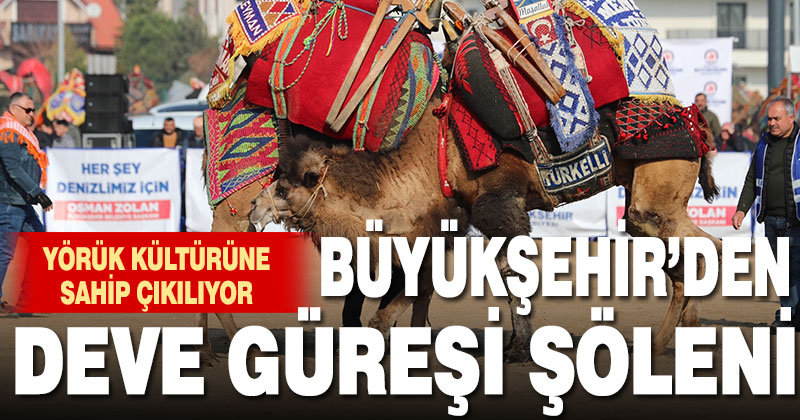 Büyükşehir’den deve güreşi şöleni