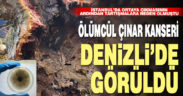 Tartışmalara sebep olan ölümcül Çınar kanseri İstanbul’dan sonra Denizli’de tespit edildi