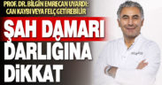 Prof. Dr. Bilgin Emrecan; “Şah damarınızı kontrol ettirin”