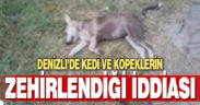 Kedi ve köpeklerin zehirlendiği iddiası
