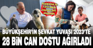 Büyükşehir’in şefkat yuvası 2023’te 28.665 can dostu ağırladı