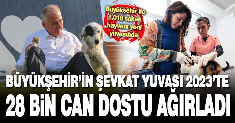 Büyükşehir’in şefkat yuvası 2023’te 28.665 can dostu ağırladı