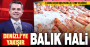 Ekrem Başer’den Merkezefendi’ye balık hali müjdesi