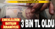 Cumhurbaşkanı Erdoğan: Emeklilerin bayram ikramiyesini 3 bin liraya yükselteceğiz