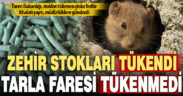 Artan tarla faresine karşı ülkedeki çinko fosfür stokları tükendi, bakanlık ithalat yaptı