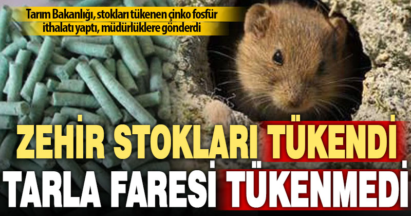 Artan tarla faresine karşı ülkedeki çinko fosfür stokları tükendi, bakanlık ithalat yaptı
