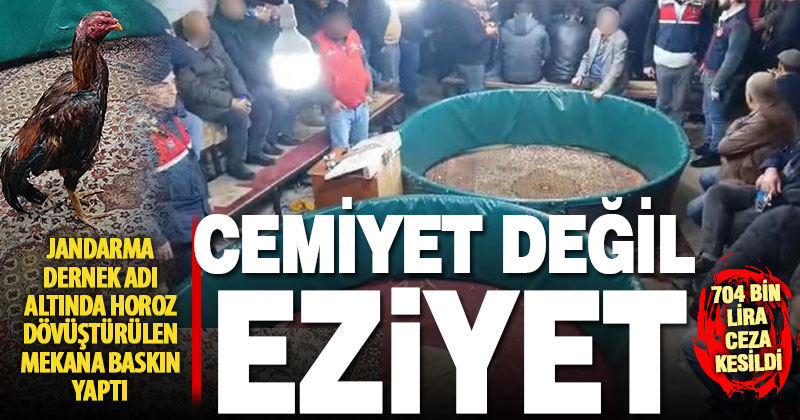 JASAT’tan komando destekli horoz dövüşü operasyonu