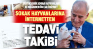 Sokak hayvanları için SMS’li bilgilendirme dönemi başladı