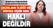 Ak Parti Milletvekili Ök AB Parlamentosu’nda konuştu: Çocukların öldüğü bir dünyada hiçbir dava haklı değildir