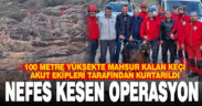 100 metre yükseklikte nefes kesen keçi kurtarma operasyonu