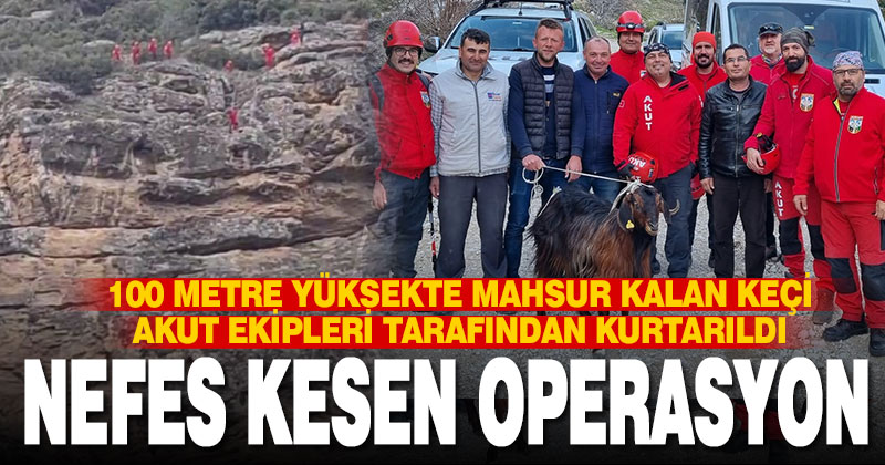 100 metre yükseklikte nefes kesen keçi kurtarma operasyonu