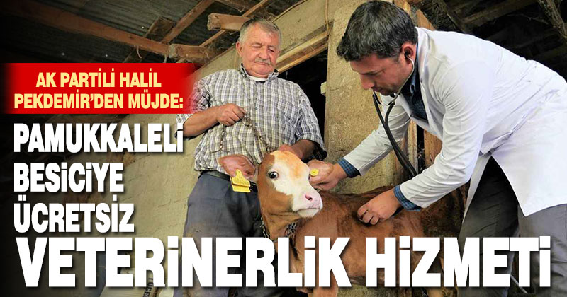 Ak Parti Pamukkale Belediye Başkan Adayı Pekdemir’den ücretsiz veterinerlik hizmeti müjdesi
