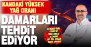 Kanda yağ oranı yüksekliği damar iltihaplanmasına neden oluyor