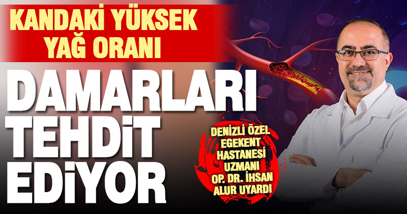 Kanda yağ oranı yüksekliği damar iltihaplanmasına neden oluyor