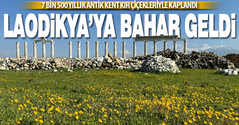 Laodikya’ya bahar geldi, antik kent kır çiçekleriyle kaplandı