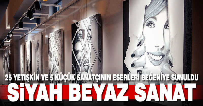 Siyah Beyaz sergi beğeni topladı