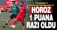 TFF 2. Lig: Denizlispor: 0 – Etimesgut Belediyespor: 0