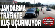 Jandarma 1 ayda 43 bin aracı denetledi