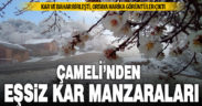 Çameli’nde bahar çiçeklerinin üzerine kar yağdı