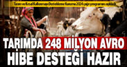 TKDK, 2024’te 248 milyon Avro hibe dağıtacak