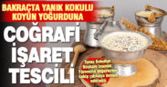 Tavas’ın meşhur yanık kokulu koyun yoğurdunun coğrafi işareti tescil edildi