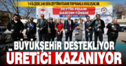 Üreticiler, Büyükşehir ile kazanmaya devam ediyor. 14 ilçede 240 bin zeytin fidanı toprakla buluşacak