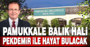 Pamukkale Balık Hali, Pekdemir ile hayat bulacak
