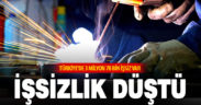 Şubat ayında işsizlik oranı yüzde 8,7 oldu