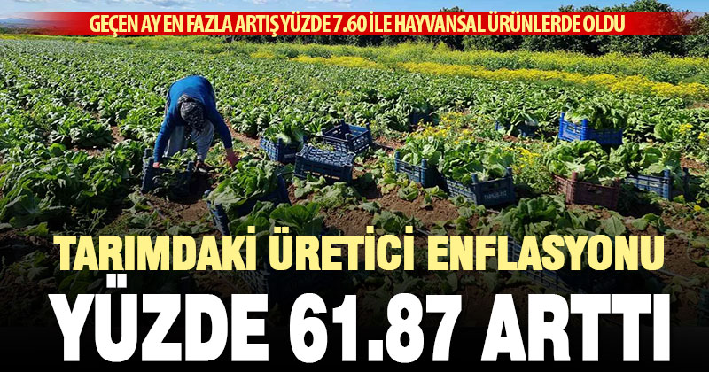 Tarımda üretici enflasyonu martta yüzde 61,87 oldu