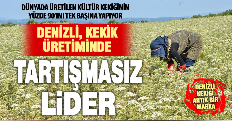 Dünyanın kekik ihtiyacı Denizli’den karşılanıyor
