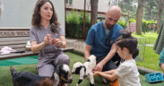 Miniklere hayvan sevgisi aşılanıyor