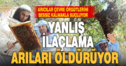 Arıcılardan çevre örgütlerine sitem