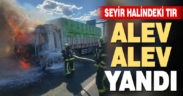 Denizli’de seyir halinde yangın çıkar tır alev alev yandı