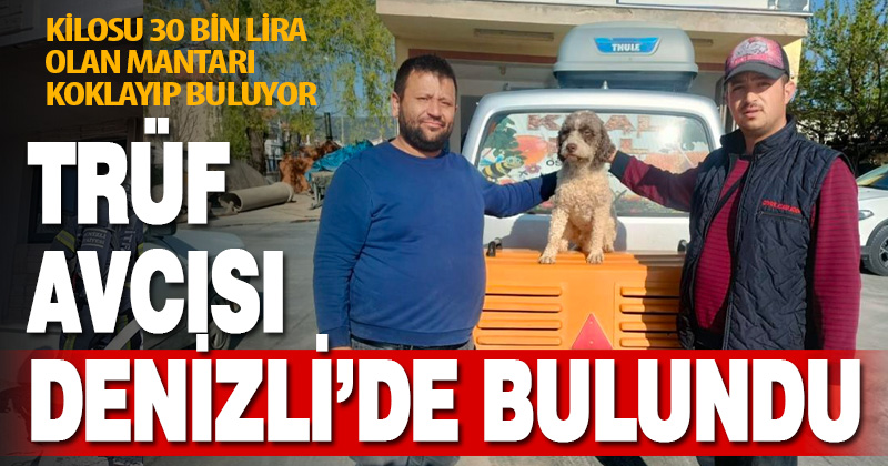 Uşak’ta kaybolan trüf mantarı avcısı Denizli’de ‘Radar’ bulundu