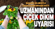 Çiçek dikim ve bakımı ile ilgili bilinmesi gerekenleri uzmanı anlattı