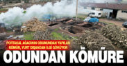 Dev ocaklarda yakılan odunlar kömür olarak yurt dışına gönderiliyor