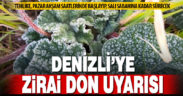 Denizli’de 2 gün boyunca zirai don bekleniyor