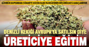 Denizli kekiğinde PA değeri düşürülecek, ihracat daha kolay olacak