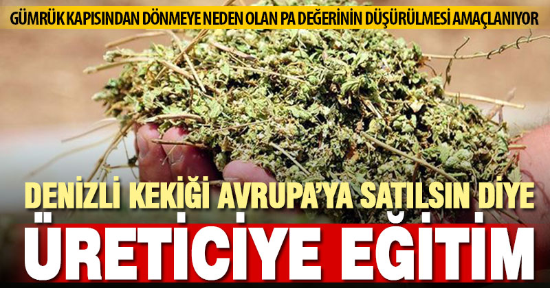 Denizli kekiğinde PA değeri düşürülecek, ihracat daha kolay olacak