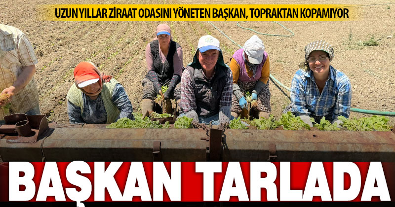 Belediye Başkanı, mesaisinin bir bölümünü tarlada geçiriyor