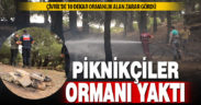 Çivril’de piknikçilerin söndürmediği ateş 10 dekar ormana zarar verdi