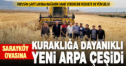 Sarayköy ovasında denenen yeni arpa çeşidi, iklim şartlarına rağmen yüksek verim verdi
