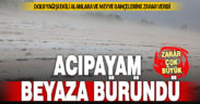 Dolu yağışı, Acıpayam’da kavun karpuz ve sebze tarlalarına büyük zarar verdi