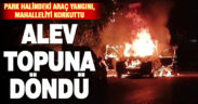 Park halindeki araç alev topuna döndü