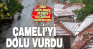 Dolu yağışı meyve ağaçları ve ekili arazilere zarar verdi