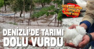 Denizli’de dolu yağışı tarım arazilerine zarar verdi