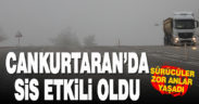 Cankurtaran’da sis etkili oldu