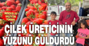 Çilek üreticinin yüzünü güldürdü